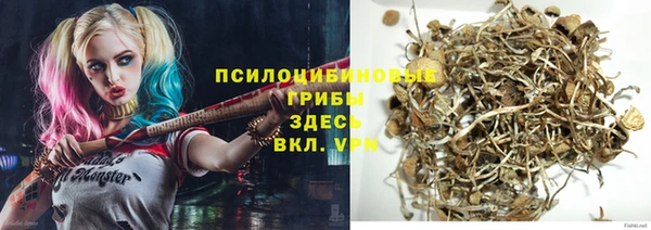 героин Ельня